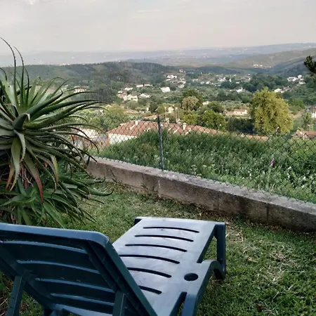 Quinta Do Cabeco * Figueiro Dos Vinhos