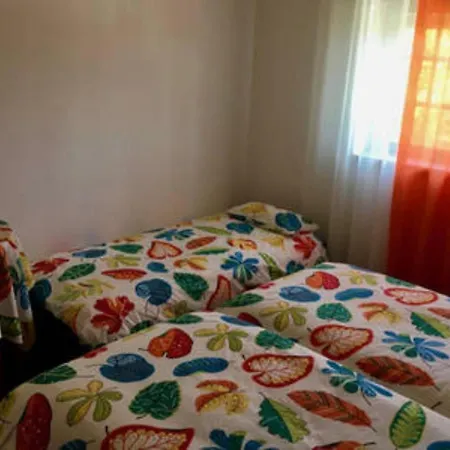 Quinta Do Cabeco Holiday home Figueiro Dos Vinhos