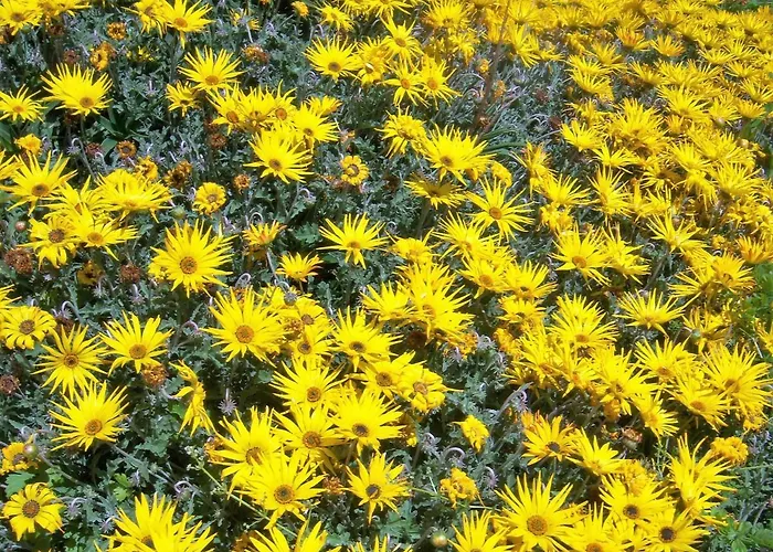 Quinta Do Cabeco 別荘